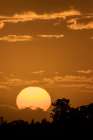 A beautiful sunset in south Florida with a blazing orange sky. Art Print